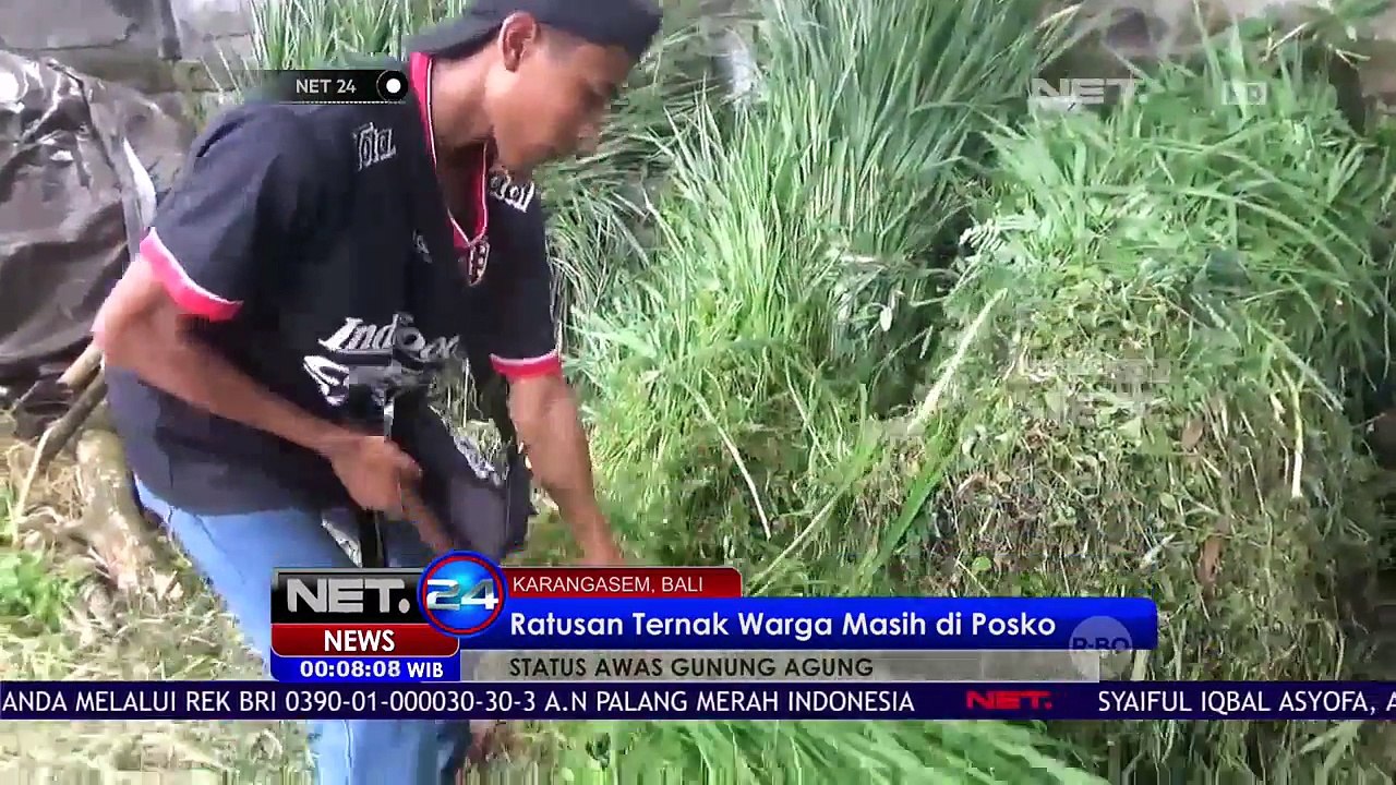 Pengungsi Zona Aman Gunung Agung Diperbolehkan Pulang - NET24