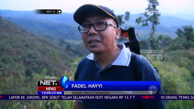 Beruang dan Babi Hutan Serang Warga - NET12