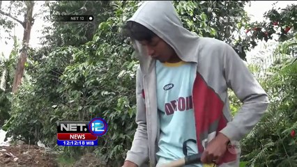 Warga Nekad Berladang di Zona Berbahaya Sinabung - NET12