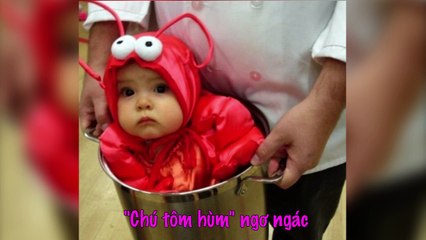 Những trang phục Halloween siêu đáng yêu của các bé