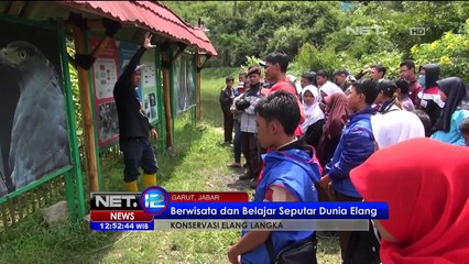 Wisata Edukatif di Konservasi Elang - NET12