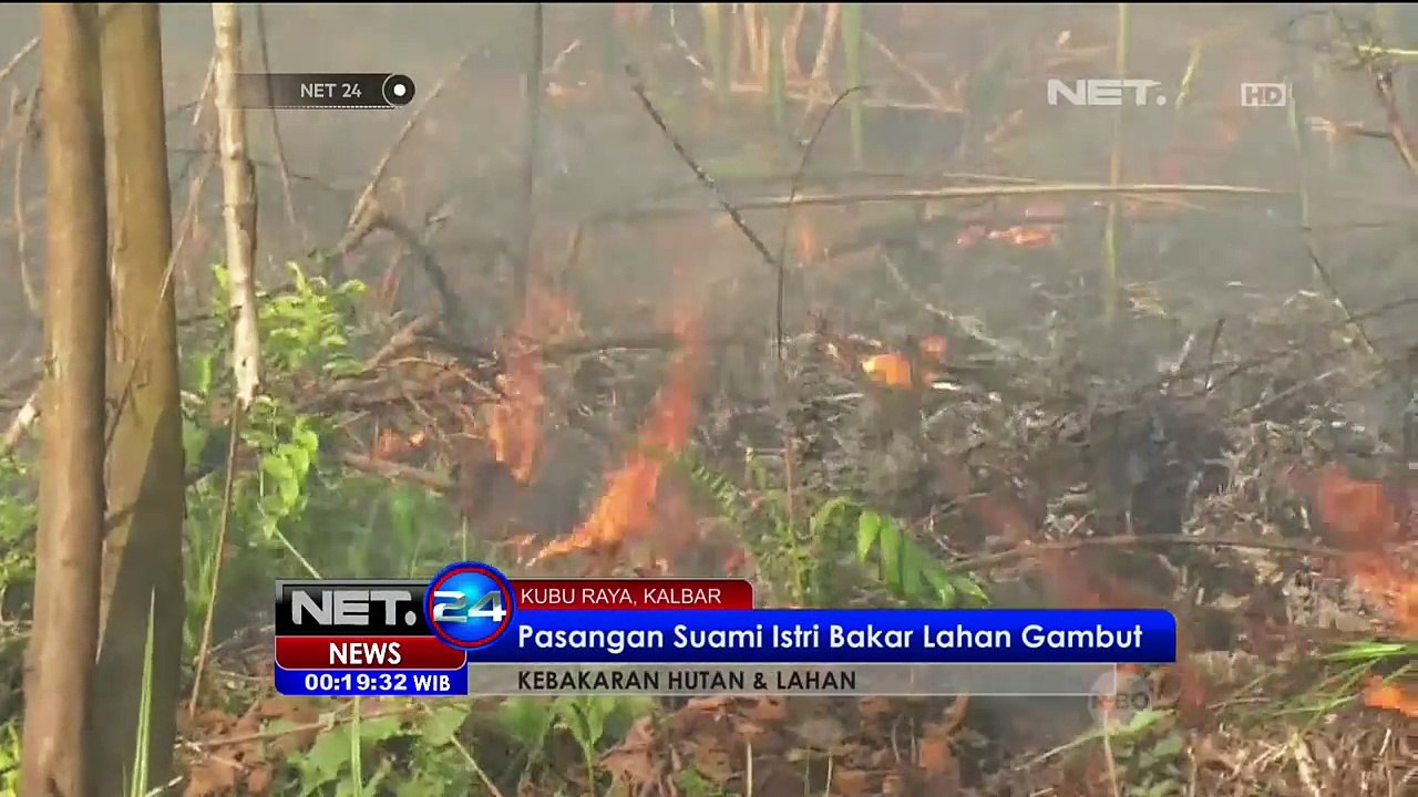 Pasangan Suami Istri Bakar Lahan Gambut - NET24
