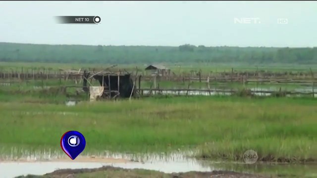 Sawah Terendam, Petani Gagal Panen - NET 10