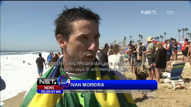 Kompetisi Surfing Anjing di California - NET 24