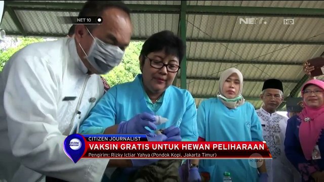 Vaksin Gratis Untuk Hewan Peliharaan - NET 10