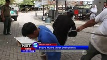 Buaya Muara Sitaan BKSDA Jalani Rehabilitasi - NET5