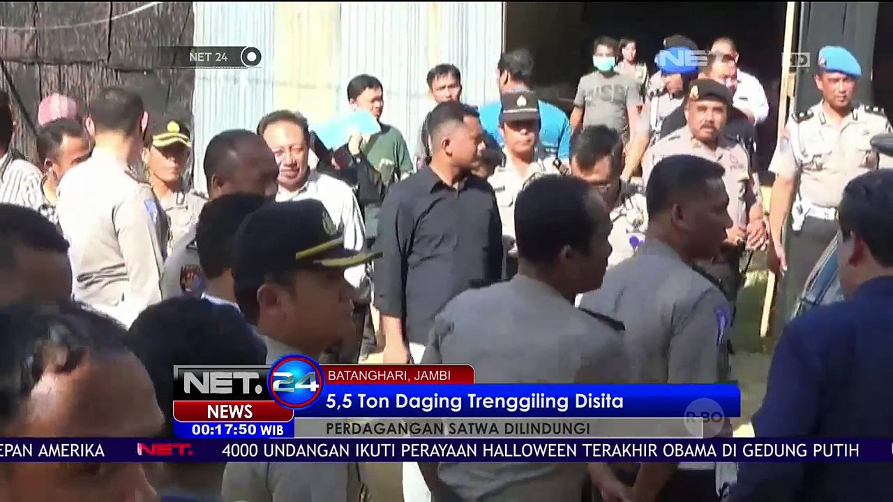 Petugas Sita 5,5 Ton Daging Trenggiling Siap Edar ke Luar Negeri - NET24