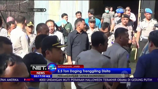 Petugas Sita 5,5 Ton Daging Trenggiling Siap Edar ke Luar Negeri - NET24