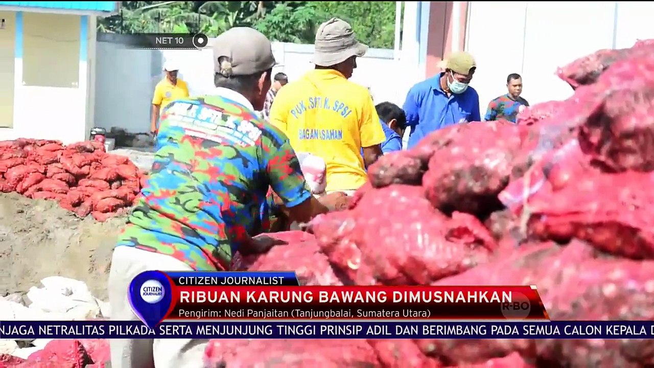 Ribuan Karung Bawang Dimusnahkan - NET 10