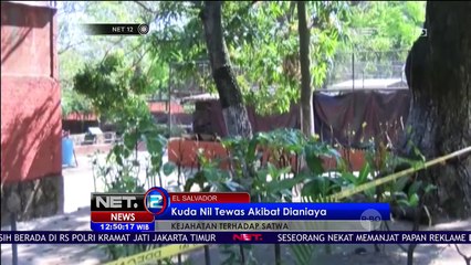 Pembantaian Kuda Nil Kebun Binatang El Salvador - NET12