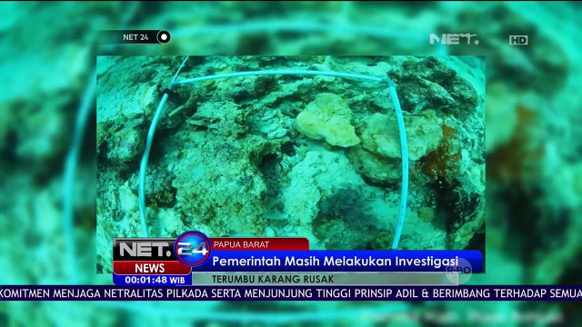 Pemerintah Masih Melakukan Investigasi Terumbu Karang Rusak di Raja Ampat - NET24