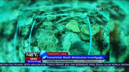 Pemerintah akan Layangkan Surat Pemanggilan Pemilik Kapak Pesiar Asal Inggris - NET5