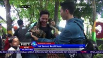 Komunitas Pecinta Reptil Kenalkan Satwa Pada Warga - NET24
