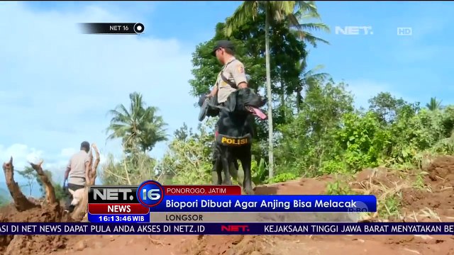 Basarnas dan Anjing Pelacak Memfokuskan Pencarian di Zona B - NET16