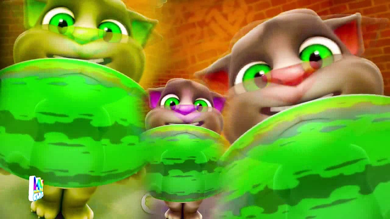 34_clip3