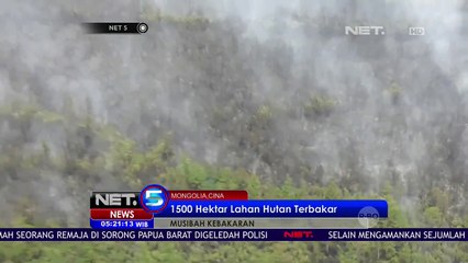 下载视频: 1500 Hektar Lahan Hutan Terbakar - NET5