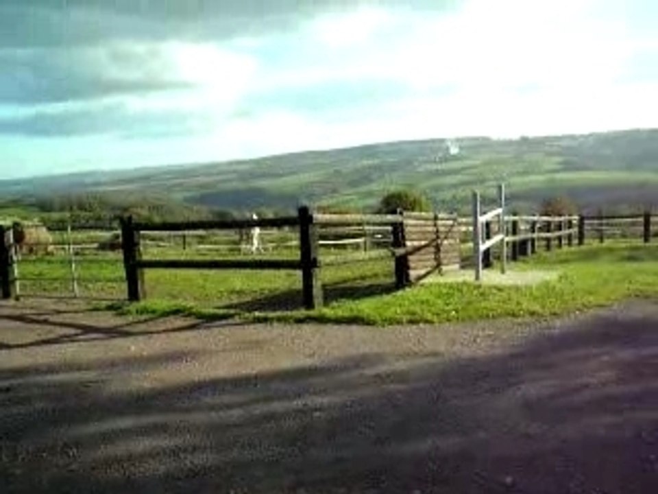 DSCN0591