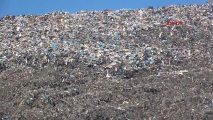 Bodrum MHP'lilerden Bodrum'da 'Zehirsiz Yaşam Hakkımız' Eylemi