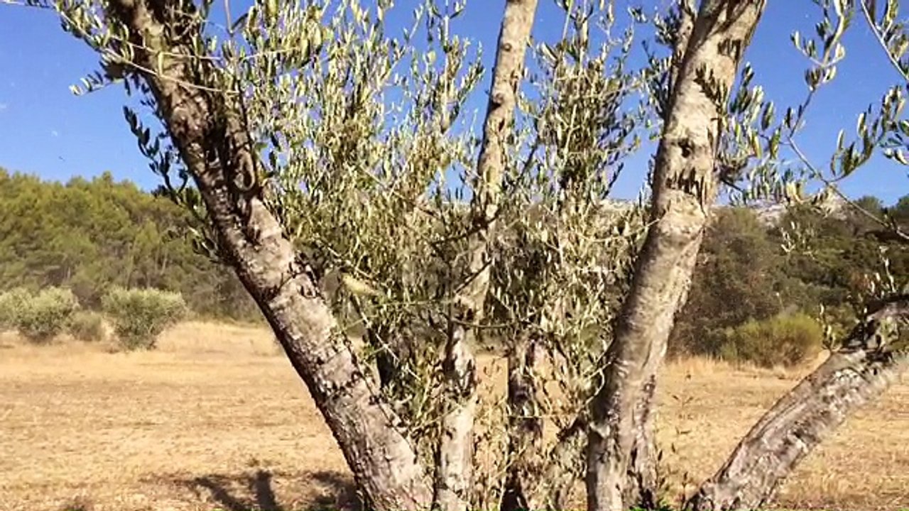 Inauguration de La Chapelle Saint-Pilon au sommet du massif de la Sainte-Baume