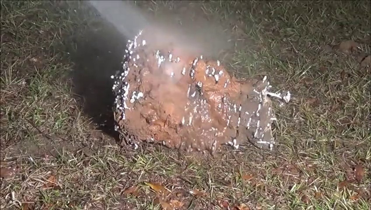 Il coule de l'aluminium en fusion dans une fourmilière et obtient une magnifique oeuvre d'art