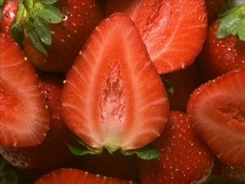 Gogol bordello, east infection