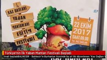 Türkiye'nin İlk Yaban Mantarı Festivali Başladı