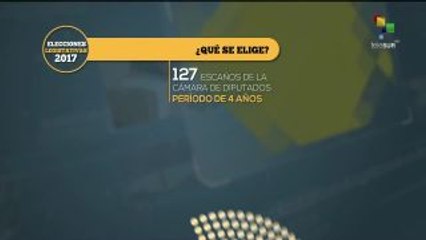 Comicios en Argentina: ¿qué cargos se eligen este domingo?