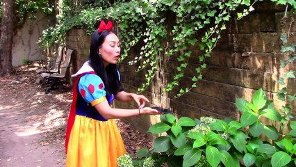 Crying Baby vs Catwoman w/ Elsa Baby, Pink Spidergirl, snow white, rapunzel baby, godzilla