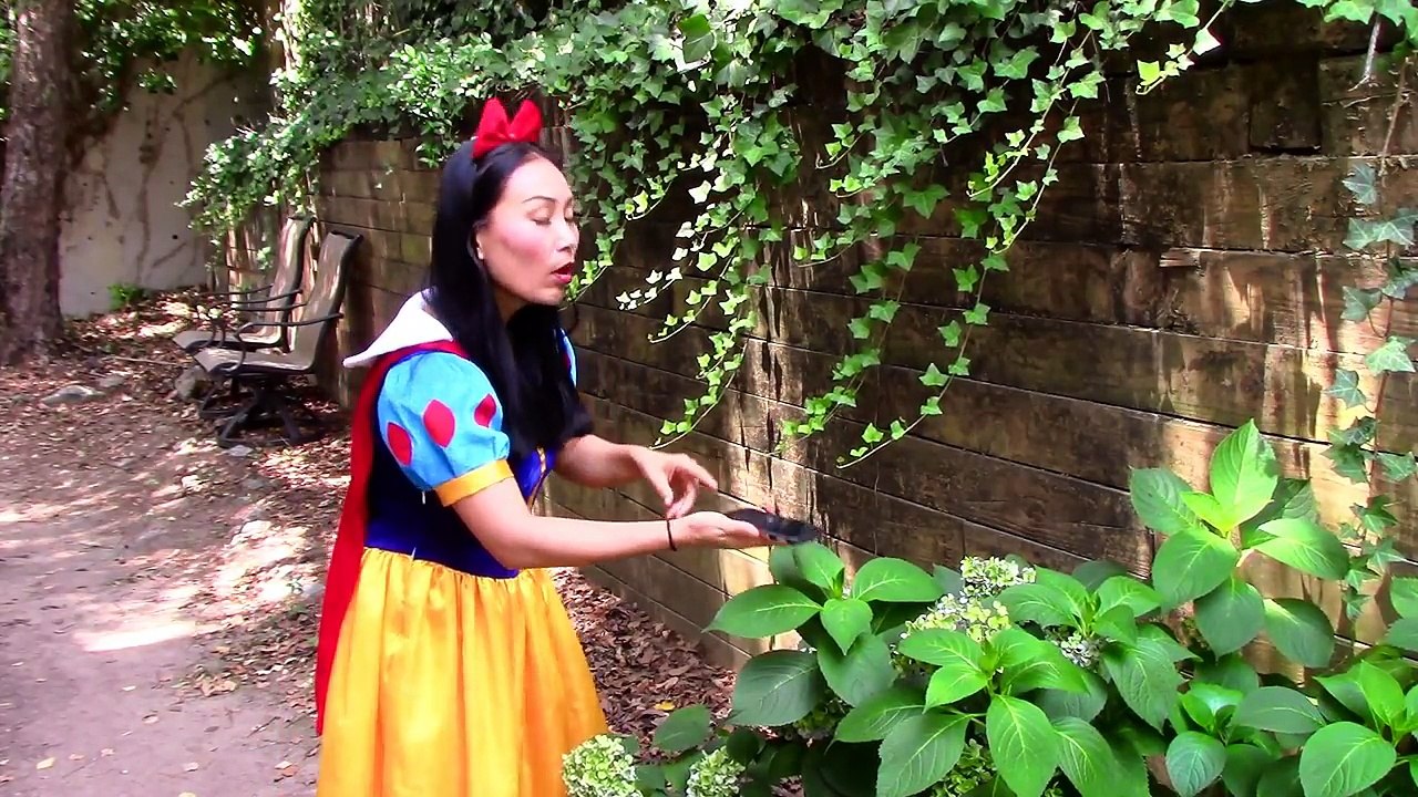 Crying Baby vs Catwoman w/ Elsa Baby, Pink Spidergirl, snow white, rapunzel baby, godzilla