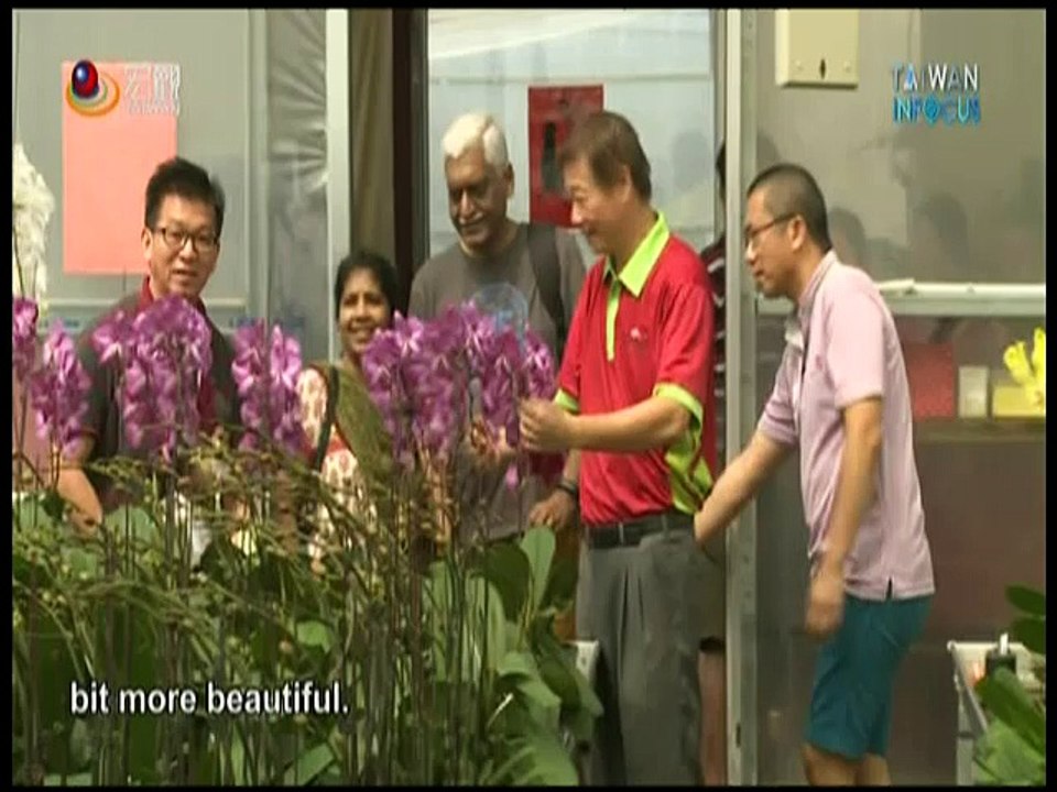 宏觀英語新聞Macroview TV《Taiwan Infocus》English News 2017-10-21