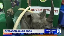 Operation Jungle Book: 16 People Charged as Authorities Crack Down on Wildlife Trafficking