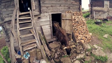 #83 Przez Świat na Fazie - Gruzja