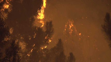 La Haute-Corse ravagée par les incendies