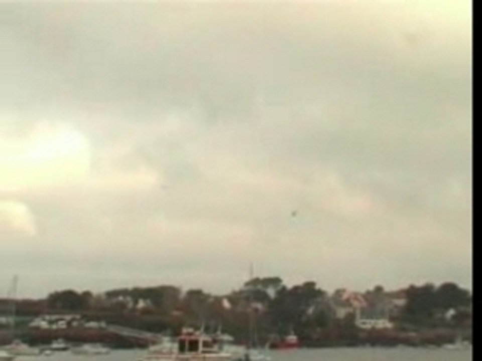 Vols de goêlands crt 4