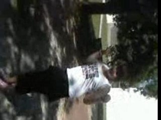 La danse de la langouste