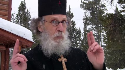 Obama's Paid Protesters Invade Wisconsin