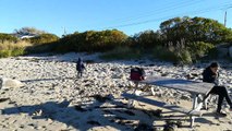 Sandy Cove at Terence Bay - 21 octobre 2017 à l'heure du goûter