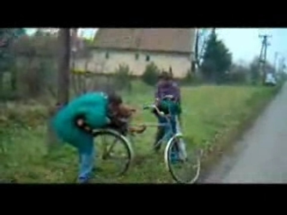 Freres de tise