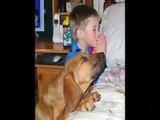 Most Funny Best of Funny cats, cute cats, Top 10 funny dogs, funny animals funniest videos7