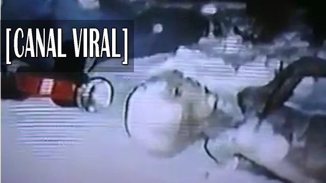 El extraterrestre de Quebec | Ufología | Alienigenas reales | Videos de extraterrestres reales