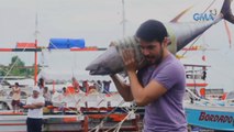 WATCH: Atom Araullo hosts 'Philippine Seas' documentary on November 5