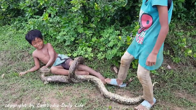 Terrifying! Brave Little Sister And Brother Catch Three Big Snakes From Hole (Part 7)