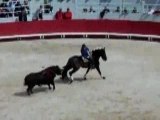 Corrida a cheval