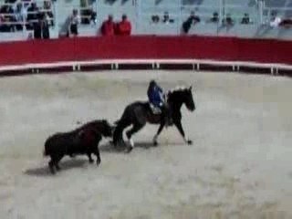 Corrida a cheval