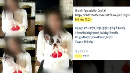 '최시원 반려견' 논란에 기름 부은 가족 SNS / YTN