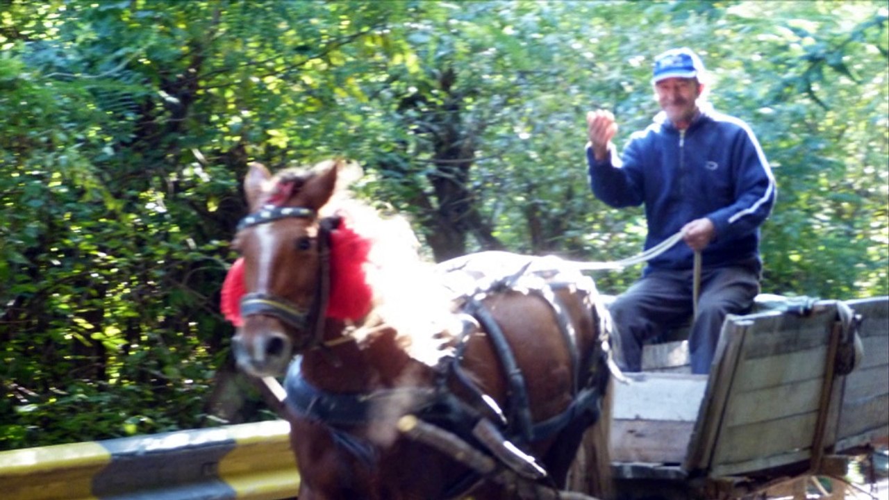 L'automne sur la Bistrita