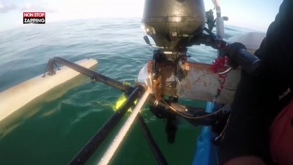 Un homme sauve un iguane lors d’une balade en kayak (vidéo)