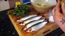 How To Prepare And Cook Herrings. HERRINGS.TheScottReaProject.