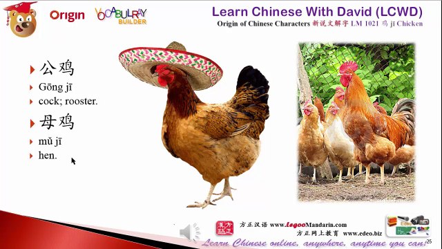 Learn Animals in Chinese like Kids - Pre School Chinese - CRC K1-16 动物 Animals P2 鸟鸡鸭狗猫
