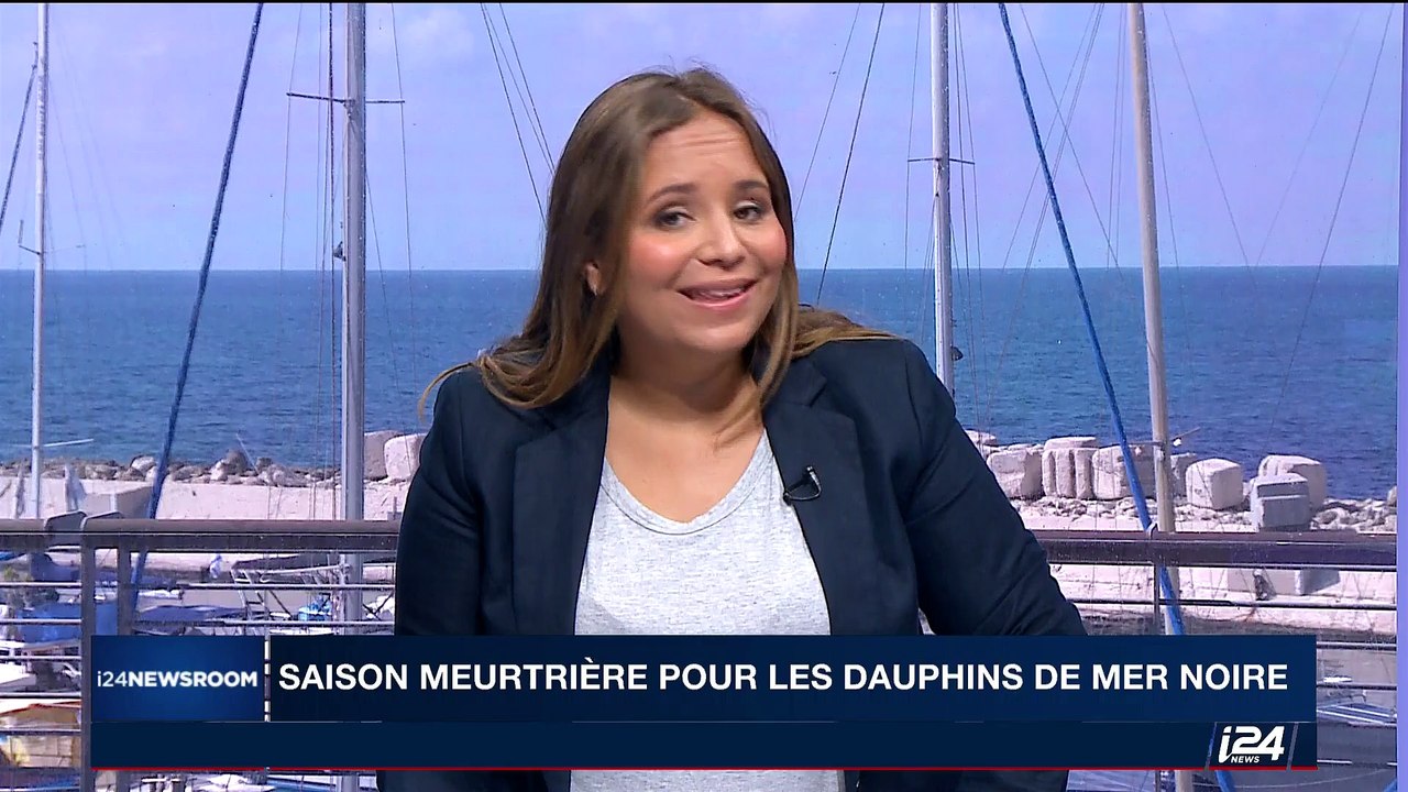 Saison meurtrière pour les dauphins de la Mer Noire
